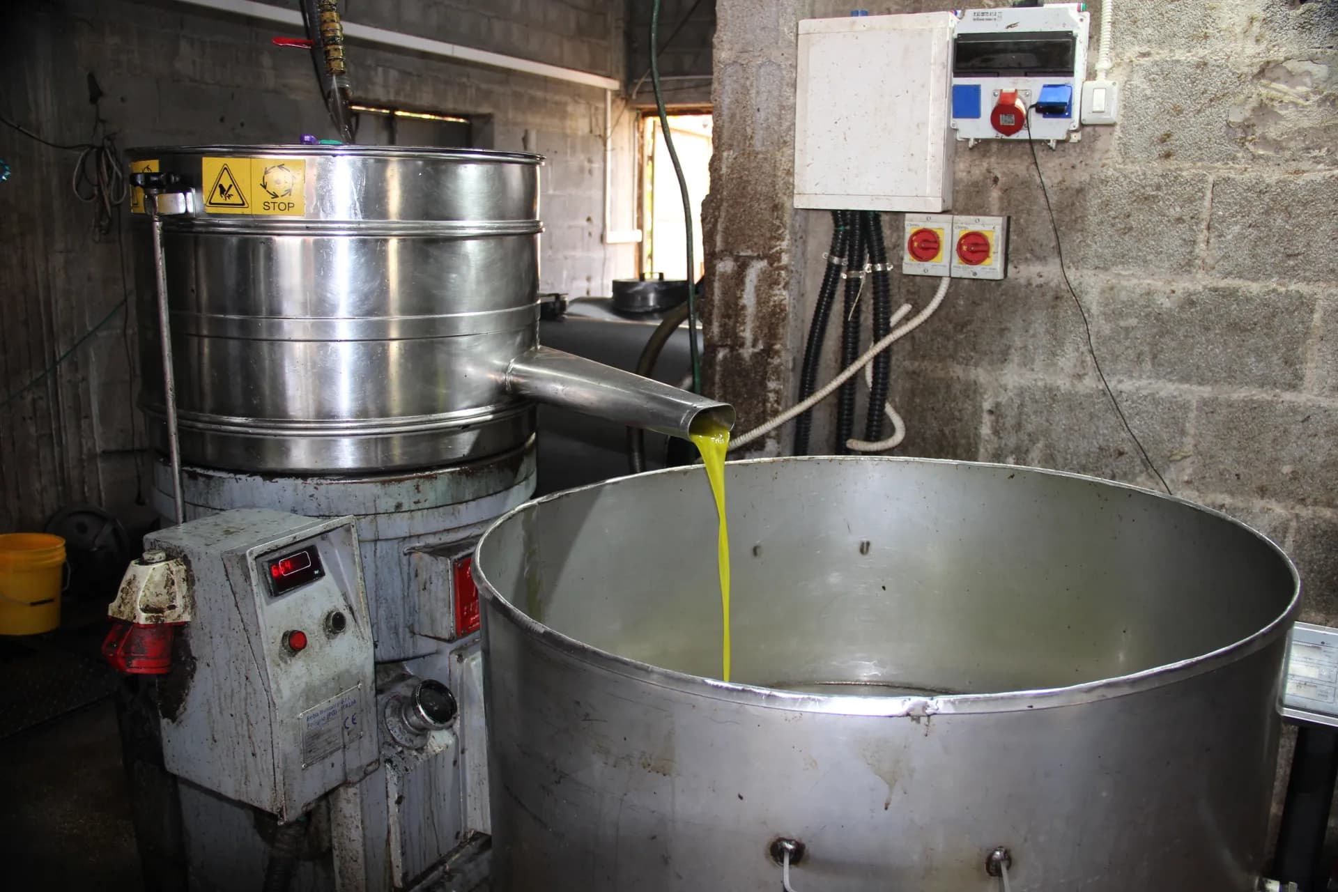 Freshly pressed oil runs into the steel tank