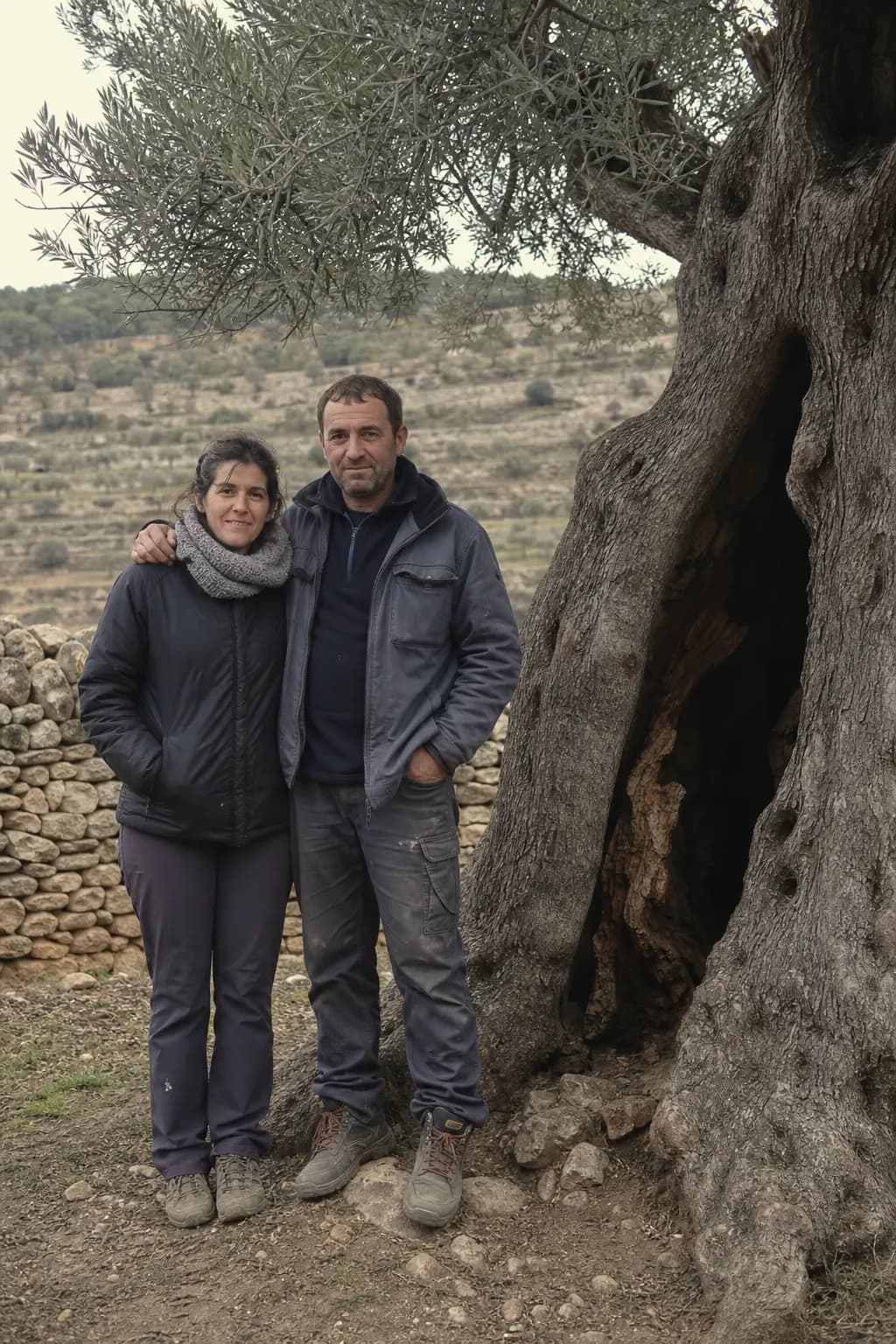 Marta Pallarés and Lluís Ferràs beside an ancient olive tree in Valderrobres