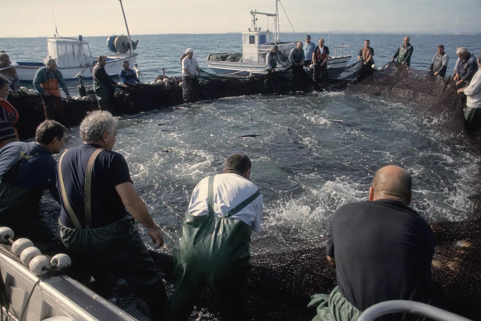 Fishermen haul the net by hand during the levantá off Barbate