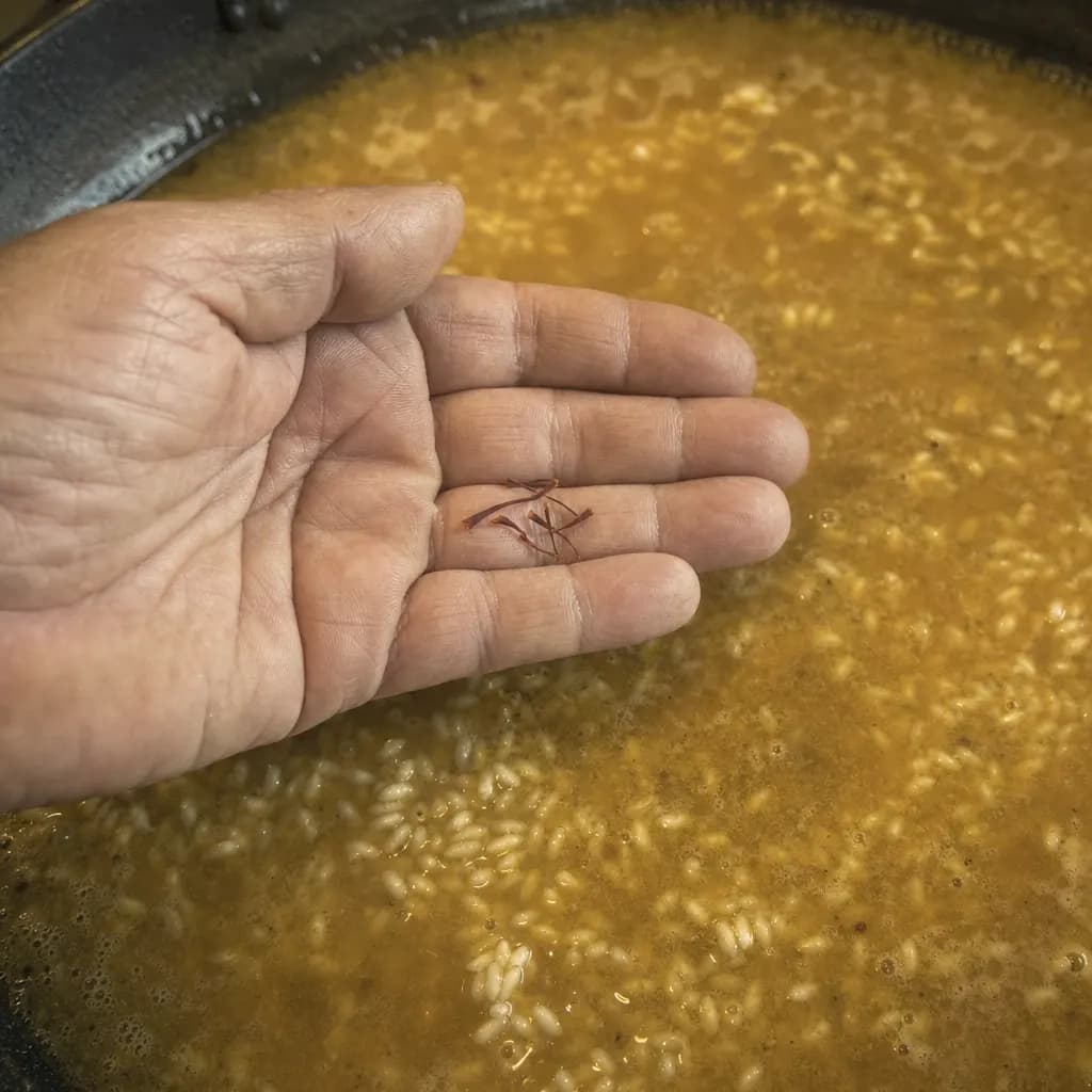 Five saffron threads in a hand above a paella beginning to cook