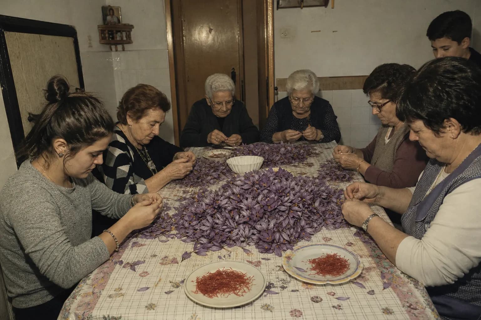 Family and neighbours peel saffron flowers in the evening around the table