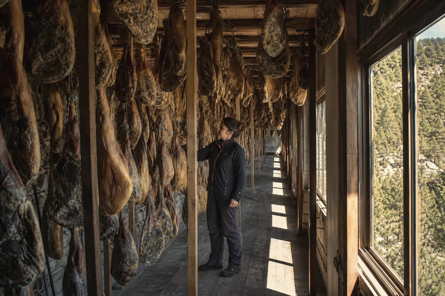 Lorena Monfort checks the hams hanging in the drying house with the windows open