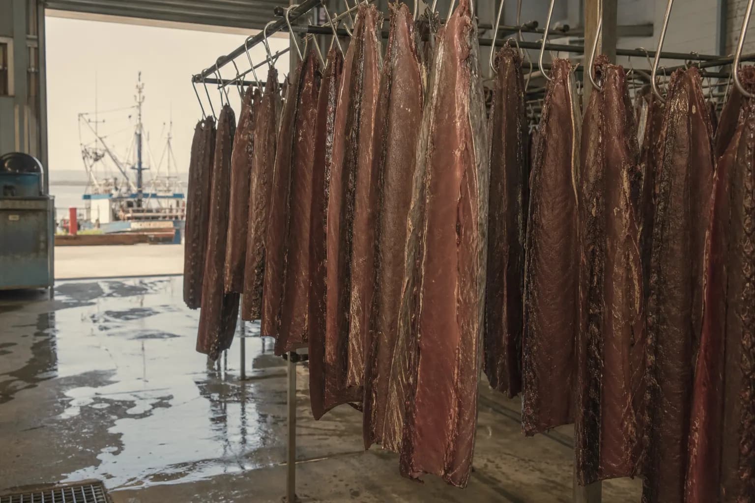 Tuna loins drying in the sea air, hanging in the shed