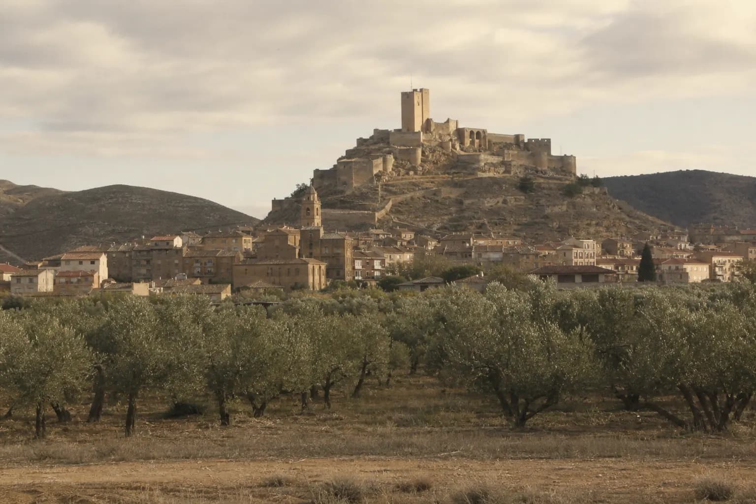 Alcañiz with its castle above the Guadalope and olive groves up to the last houses