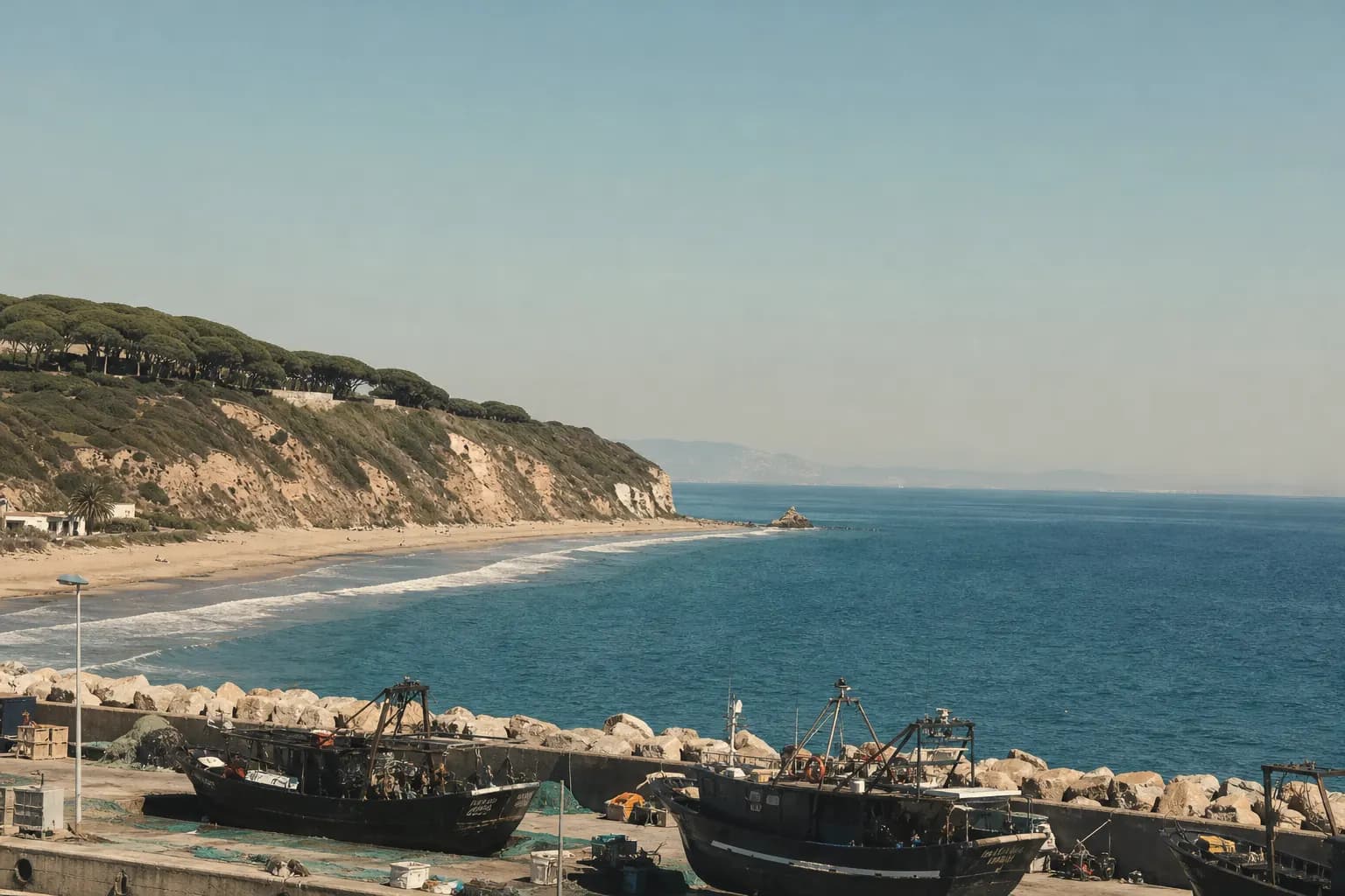 La Breña pine forest on the Barbate cliffs with the Strait behind