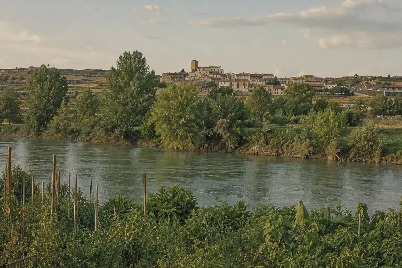 A bend of the Ebro with poplars and vegetable gardens on both banks at Sartaguda