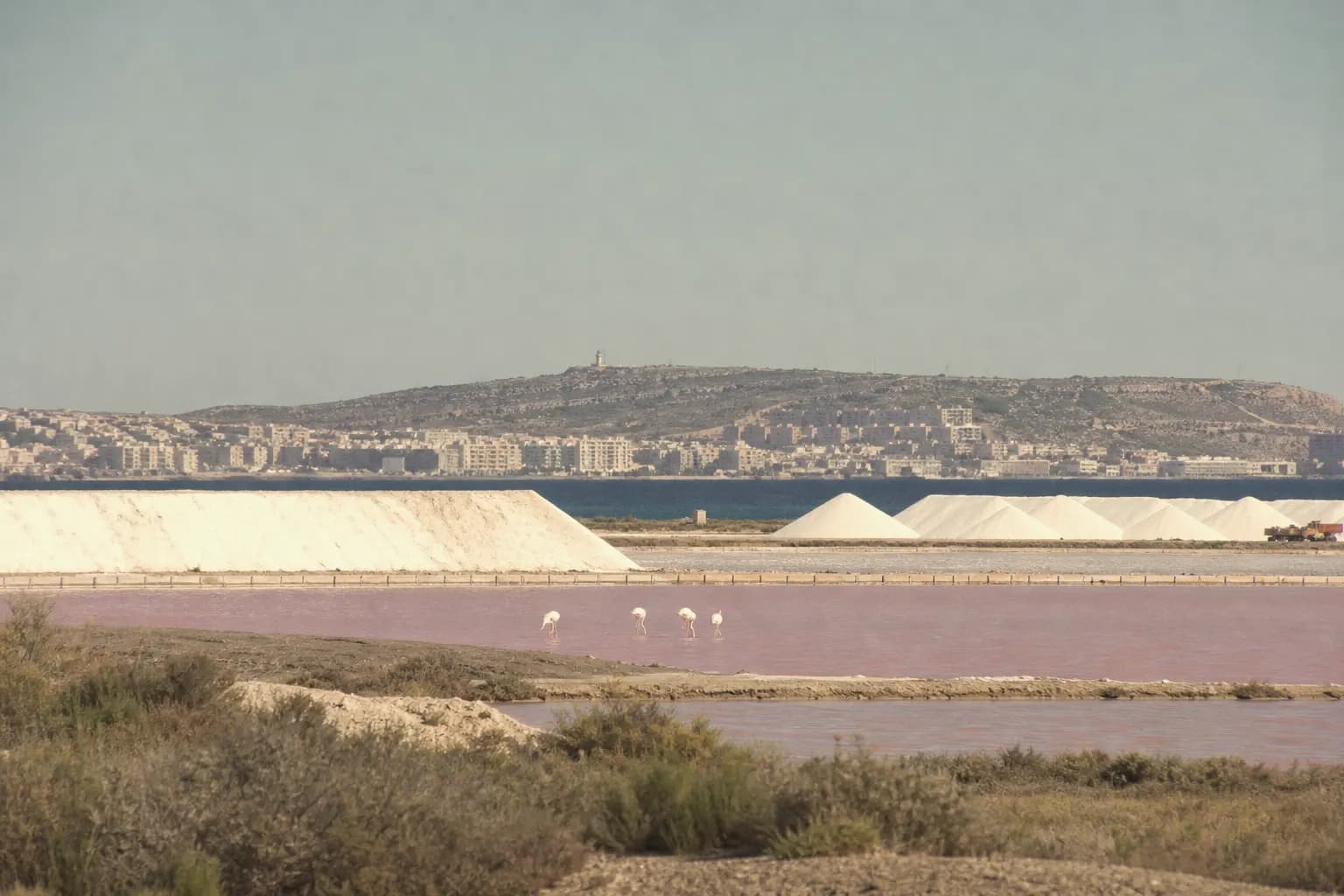 Pink salt pans of Santa Pola with flamingos and heaps of salt