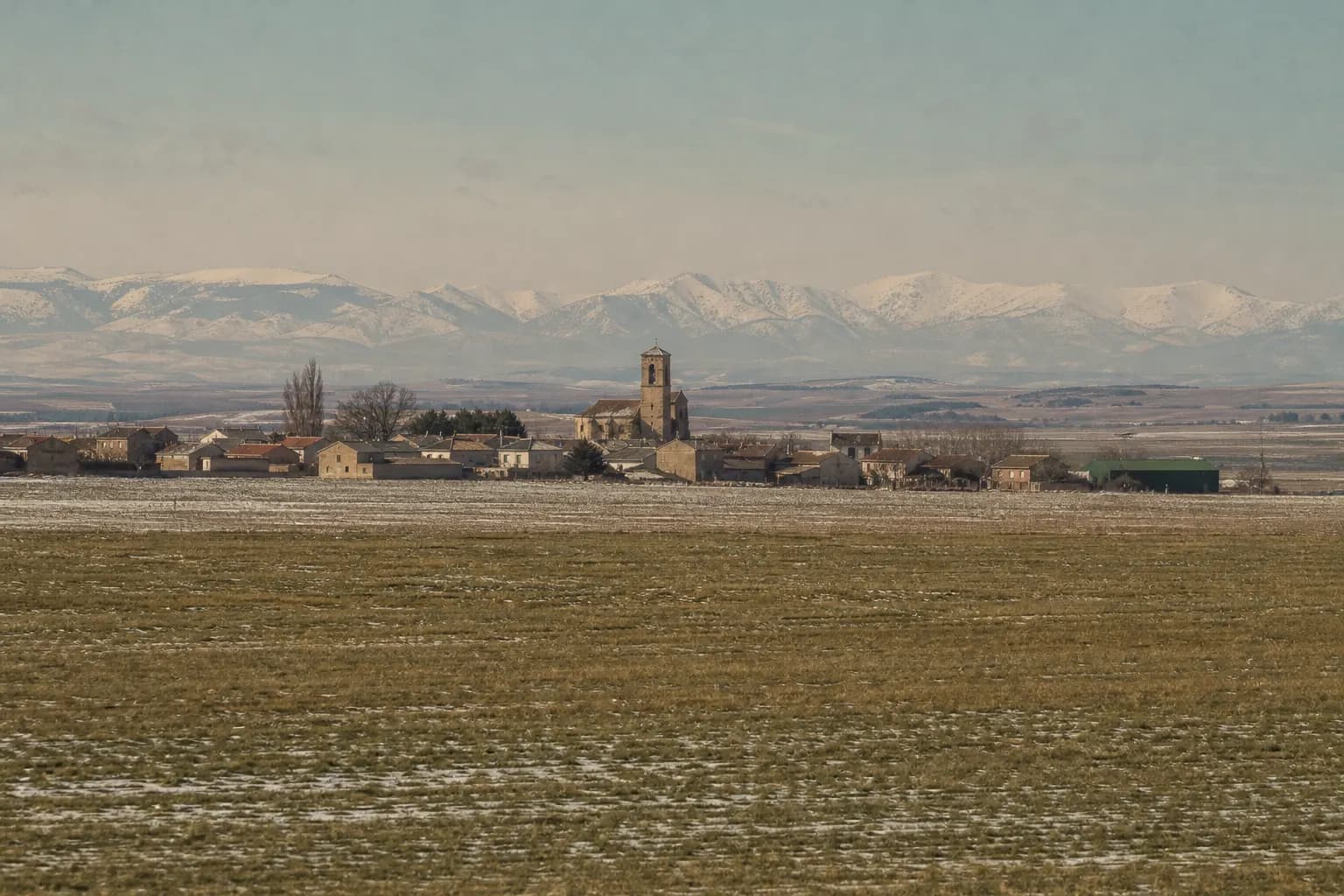 Winter cereal fields near Cantimpalos with the snowy Guadarrama behind