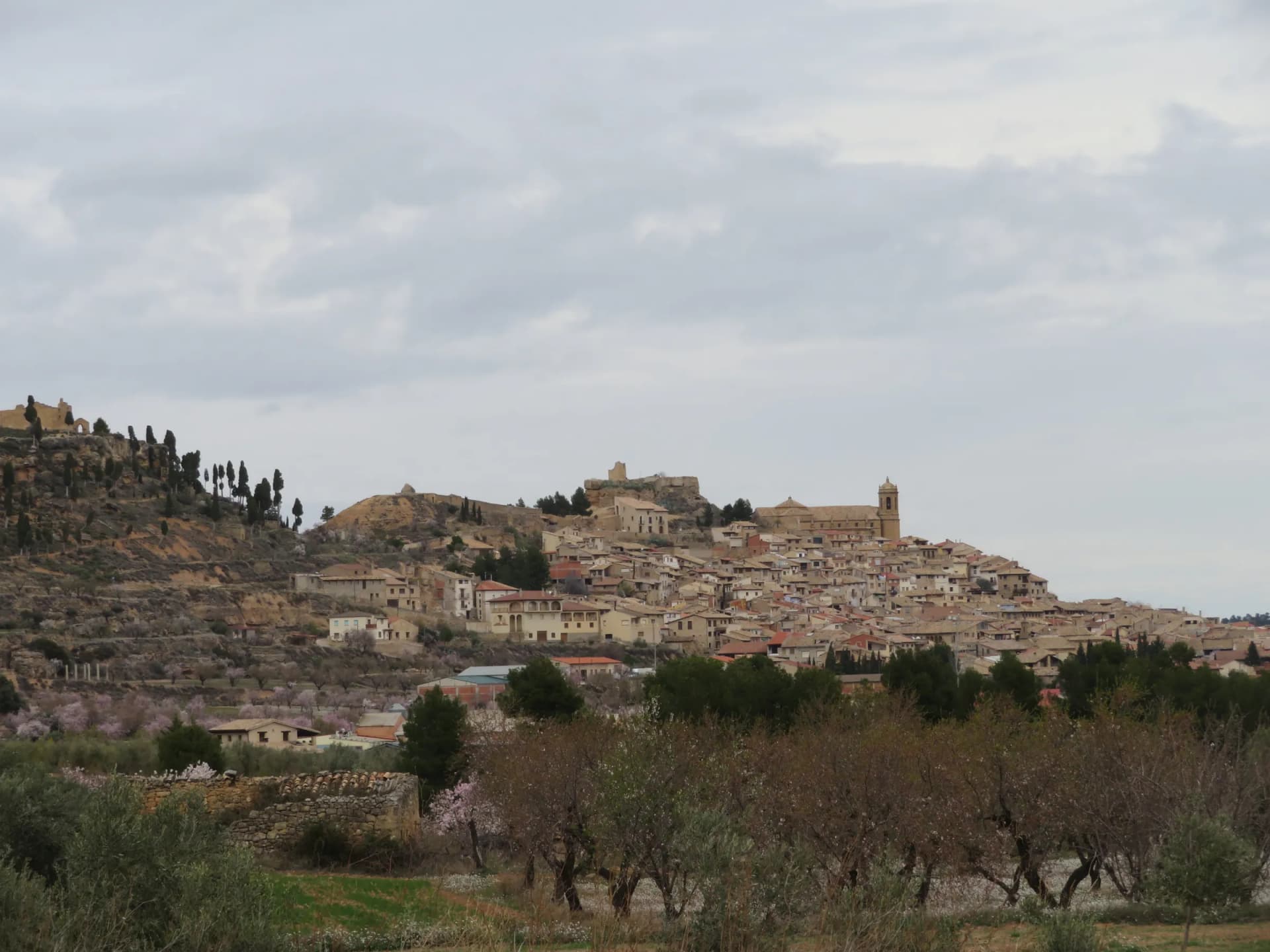 Un pueblo del Bajo Aragón visto desde los campos de olivos