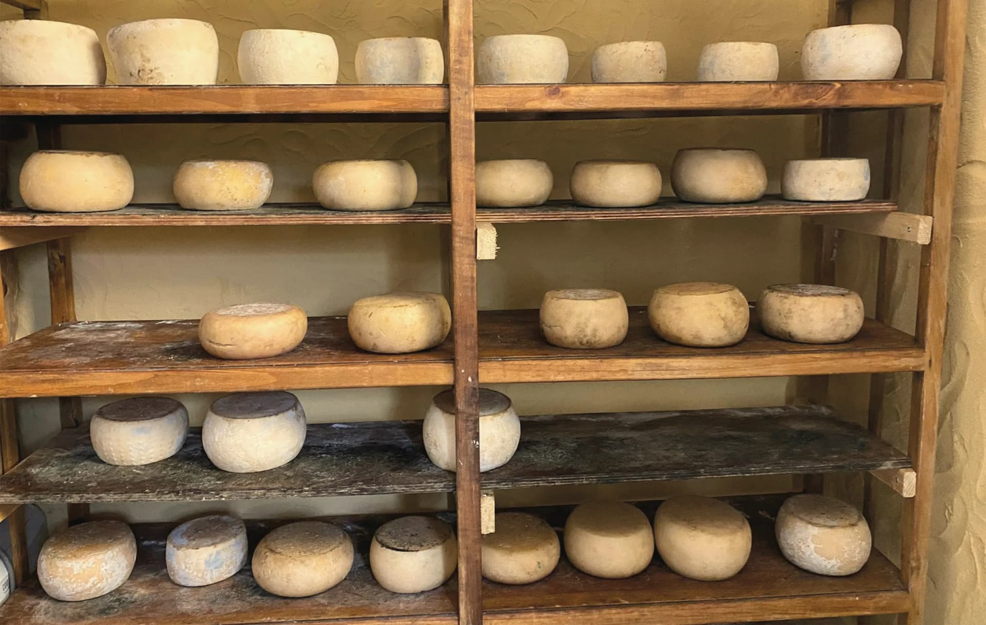 Estantes de quesos pequeños en la cámara de curado
