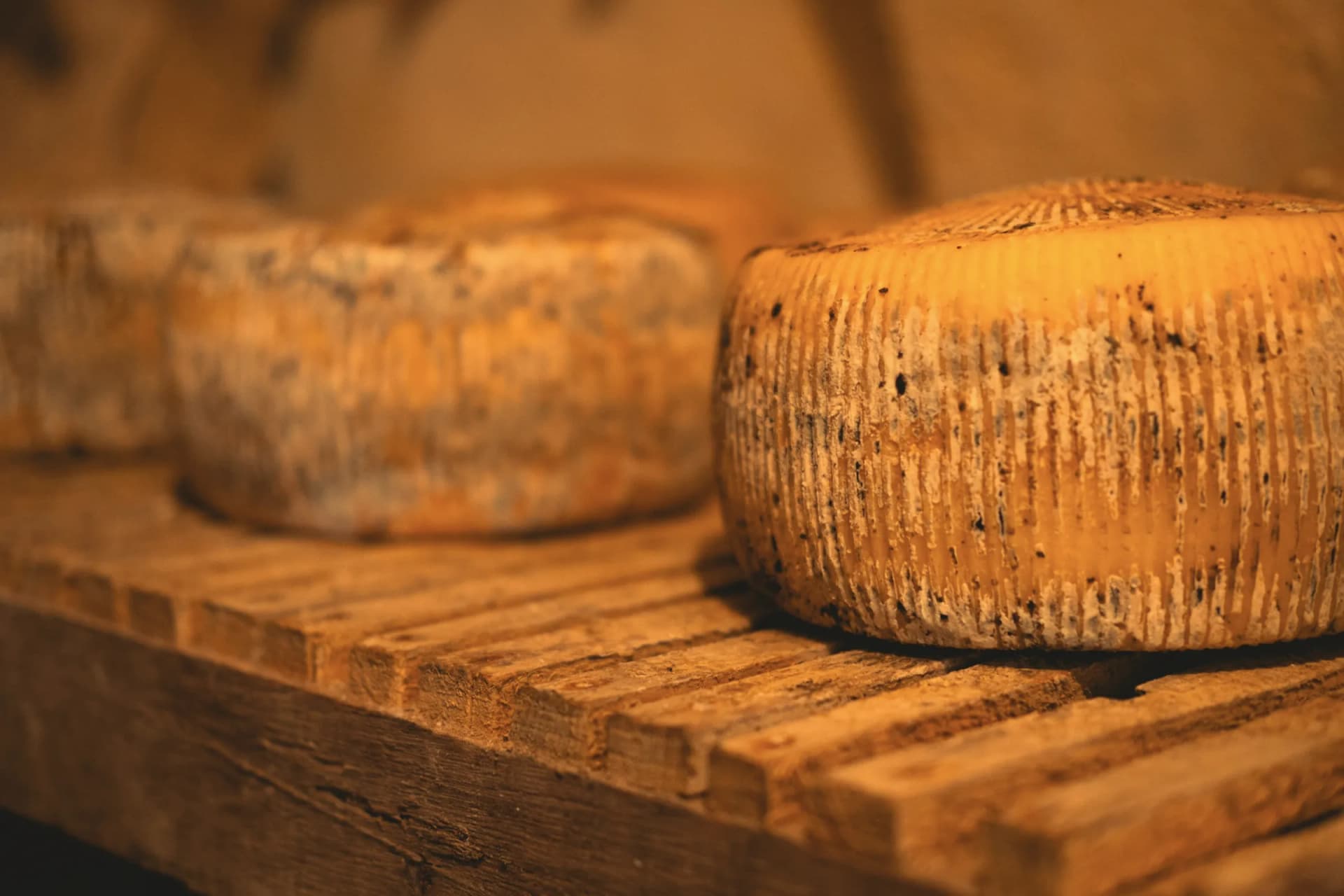 Golden-rind cheeses on a board