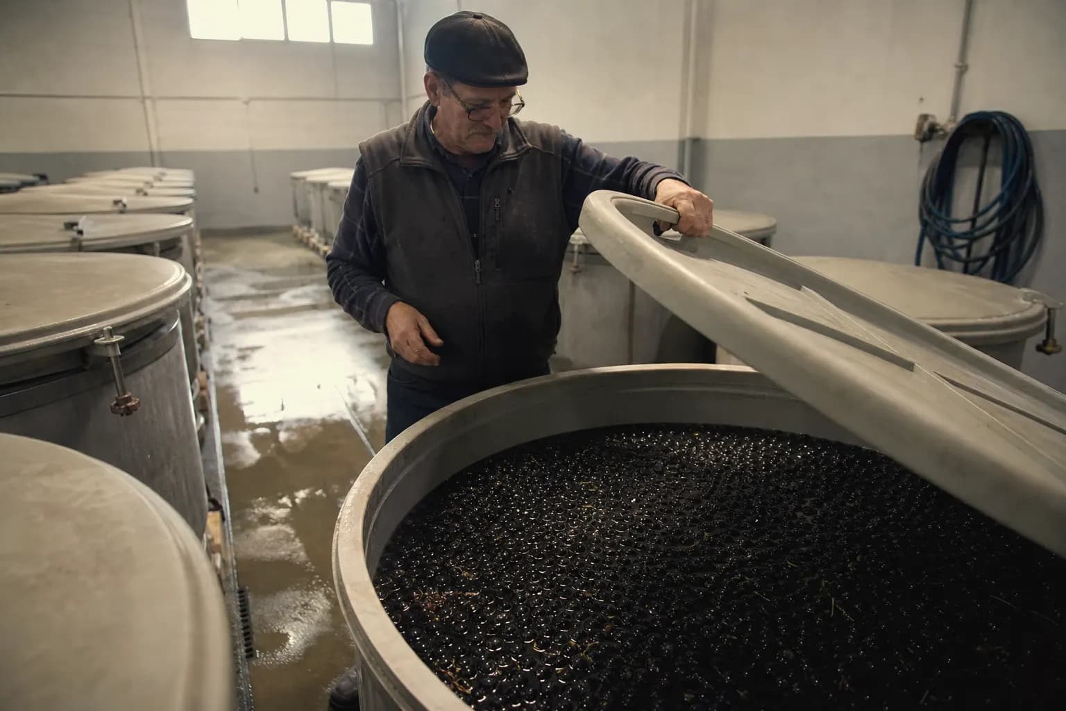 Iván Garcés checks a vat of black olives curing in brine