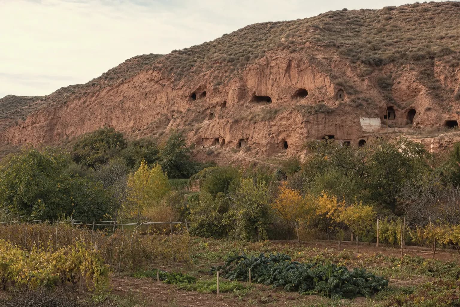 Red clay hills with caves above Arnedo and gardens along the Cidacos